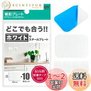 NEODY スチールプレート マグネット 白い マグネットシート 10枚セット STEEL PLATE (65*45*1mm) SP-0101-W