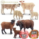 TOYMANY 8PCS農場動物フィギュア ヒツジフィギュア ヒツジ家族セット 羊モデル 親子 リアルな動物模型 人気動物 玩具 誕生日プレゼント クリスマス 新年 飾り物 コレクション 6歳以上