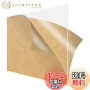 DARENYI 透明アクリル板 厚さ5mm A3 サイズ 1枚セット 大きい 高透明アクリルボード 420 x 297mm 保護フィルム付き 絵画、DIY装飾、...