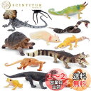 TOYMANY 12PCS動物フィギュア 野生動物フィギュアセット リアルな動物模型 動物園主題 人気動物 おもちゃ 玩具 誕生日プレゼント 飾り物 クリスマス 新年 六歳以上