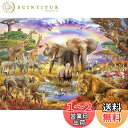 【送料無料】CHengQiSM 1000ピース ジグソーパズル 動物王国 パズル 動物 子供&大人 プレゼント(70×50cm)
