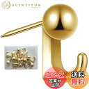5WYOUKE【10個入】 石膏ボード フック 画鋲 フック ピンフック 耐荷重約5kg 壁 傷つけない おしゃれ ゴールド ミニ 目立たない 押しピン 賃貸 絵画 額縁 時計 カレンダー 飾り用 壁掛け フック 石膏ボード ベニヤ板 木用 フック 収納ケース 付き