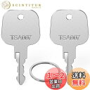 【送料無料】Mellbree TSA 鍵 TSA007用のロックキー 鍵 2本セット キーリング付き トラベルバッグ 荷物スーツケース鍵 マスターキー スペアキー