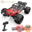 DEERC ラジコン ラジコンカー オフロード ダブルモーター 4WD 高速 30km/h 1/16スケール 電動RCカー RTR 全地形対応 2.4GHz レ...