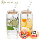 QuiExact ガラスコップ 500ml 2個セット 薄づくり ハイボールグラス 食洗機 電子レンジ対応 耐熱 グラス コップ ストロー付き 蓋付き うすはり...