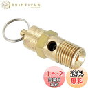 PATIKIL 1/4オスNPT 安全弁 1個 圧力開放弁 エアリリースバルブ エアコンプレッサー用 135 PSI 設定圧力