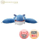 タカラトミーアーツ(TAKARATOMY A.R.T.S) ポケモン キミにきめた!ポケモンゲットぬいぐるみ カイオーガ ぬいぐるみ 幅約33cm