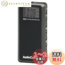 オーム(OHM) 電機AudioComm ラジオ 小型 ライターサイズラジオ ポケットラジオ デジタル DSPラジオ ライターラジオ ATS自動選局 メモリー登録 携帯ラジオ 通勤ラジオ イヤホン付き FMステレオ ワイドFM対応 ブラック RAD-P255N 03-7234