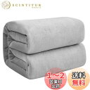 Hansleep 毛布 シングル 冬用 ブランケット 140x200cm マイクロファイバー 柔らかく肌触り フランネル 洗える 静電防止 四季適用 (140x200,アイスグレー)