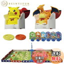 タカラトミー(TAKARA TOMY) ポケットモンスター ポケモン アルティマッチ 01 ピカチュウvsリザードン スタートセット