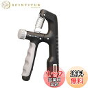 GreenGee 握力増強器 エクササイズ 握力グリッパー カウンター付き 10-100kg 負荷調整可能 ハンドグリッパー ストレス解消 リハビリ器具 テニス 野球 握力強化訓練 握りやすい 滑りづらい 男女兼用 ポリプロピレン (ブラック)