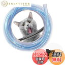 WJSD ペット 犬 猫 コード ?み防止 ペット コードカバー 猫 3M ペット ケーブルカバー 猫 対策 コード保護カバー コードプロテクター 配線カバー ...