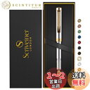 Scriveiner 高級 EDC 万年筆(細字) 華やか 重厚感 ポケット ペン 24K仕上げ Schmidt ドイツ製ペン先 コンバーター 最高のライティン...