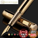 Scriveiner 最高級 プレミアム 万年筆 (金) 魅力的な美しさ 24K金仕上げ Schmidt 18K金メッキペン先 (細) 男性にも女性にも最適 プ...