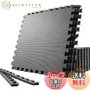 SOLPEX トレーニング ジョイントマット エクササイズマット 防音 衝撃吸収マット ホームジム 大判 ジムマット 60cm×60cm×1.2cm 6/24枚 キズ防止 高硬度 振動吸収 床保護 抗菌 トレーニング器具用マット サイドパーツ付 (2枚 BLACK)