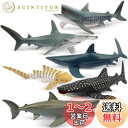 TOYMANY 動物フィギュア 6PCSサメフィギュア 海洋動物フィギュアセット 12cm〜14cm 生物 魚類 海の生き物 リアルな動物模型 サメ好き 人気動...
