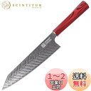 KEEMAKE 包丁 牛刀 ダマスカス包丁 210mm ステンレス 両刃 食洗機対応 万能包丁 野菜 肉 魚 プレゼント 家庭用 人気ランキング 調理用品 キッ...