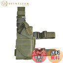 JEELAD レッグホルスター レッグプラットフォーム ハンドガン ドロップレッグ レッグシュラウド 右足用 レッグ ホルスター レッグポーチ モール対応 サバゲー