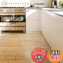 【送料無料】キッチンマット クリア PVC 80×255cm SALLOUS 大判 厚さ1.5mm クリアマット 台所マット 透明マット ソフト 撥水 おしゃれ 汚れ防止 お手入れ簡単 床暖房対応 滑り止め (255*80cm)