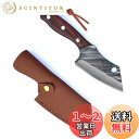 Irai Utaki 包丁 切付 刃渡り100mm アウトドア用包丁 フルタング構造 フィッシング ステンレス製 赤檀グリップ 釣り キャンプ用シースナイフ 革...
