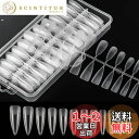 Annhua ネイルチップ クリア 240枚セット 超薄 艶消 透明ネイルチップ スティレット ロング バーチャルジェルチップ 長さだし つけ爪 ネイルちっぷ ...