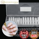 Annhua ネイルチップ クリア 270枚入り ネイル長さだしチップ アーモンド型 ミディアム 透明つけ爪 クリアチップセット サンディング済みネイルチップ ...
