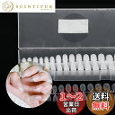 Annhua 透明 ネイルチップセット 270枚 超薄 艶消 ネイルチップ バレリーナ ショート クリアチップ サンディング不要 ネイル長さだしチップ ジェルネ...