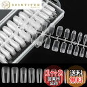 Annhua クリア ネイルチップセット 240枚 透明ネイルチップ スクエア ネイルチップ 長さだし 超薄 艶消 クリアチップセット つけ爪 ネイル長さだしチ...