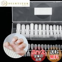 Annhua ネイルチップ 透明 270枚 超薄 艶消 長さだし ネイルチップセット バレリーナ ミディアム クリアチップセット つけ爪 ネイル長さだしチップ ...