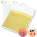 金箔 ヘア用 金箔シート フレーク 8x8.5cm 100枚 模造金箔 髪飾り 成人式 結婚式 卒業式 ジェルネイル セルフネイル DIYジュエリー 工芸品 レジン 美術 絵画 装飾用 BEIHOO (ゴールド)
