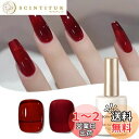 BORN PRETTY ジェルネイル カラージェル 透け感 シアーカラージェル ネイルアート 秋冬 ワインレッド単品 透明感 シンプル UV/LED対応 ポリッシュタイプ セルフジェルネイル オフィスジェルネイル 初心者 化粧品 ネイリスト ネイルサロン 秋ネイル 冬ネイル