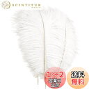 DFsucces 羽 羽根 ダチョウ 装飾用 真っ白なフェザー ジュエリー/工芸品/ヘアアクセサリー 結婚式誕生日 パーティー飾り 舞台 ステージ 衣装 素材 羽飾り 25-30cm 10本