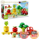 レゴ(LEGO) デュプロ はじめてのデュプロ やさいのトラクター おもちゃ 玩具 プレゼント 誕生日 ブロック 知育 クリスマス 男の子 女の子 子供 1歳半...