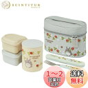 スケーター(Skater) 抗菌 保温弁当箱 ランチジャー となりのトトロ 木苺 560ml KCLJC6AG-A