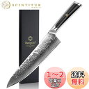 Sunnecko 包丁 牛刀 203MM ダマスカス 67層 ステンレス 鋼 家庭用 キッチン 両刃 万能 よく切れる 野菜 肉 魚 プレゼント 結婚祝い パン切り
