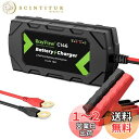 RoyPowリン酸鉄リチウムイオンバッテリー充電器 14.4V10A バッテリーチャージャー トリクルチャージ バッテリー活性化LEDランプ 逆接続&ショート&...