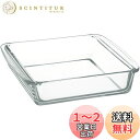iwaki(イワキ) 耐熱ガラス ケーキ型 グラタン皿 角型 18×18cm BC221