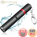 Tooniu ミニ懐中電灯 小型 高輝度 テールスイッチ式 キーホルダー付き 単4電池1本給電 IP54防水 ledライト ハンディライト コンパクト 軽量 高輝度LEDチップ搭載 150ルーメン 3つモード調光 停電対策 緊急用 紛失予防 単4乾電池(別売り) カラビナ付き