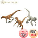 タカラトミー アニア ジュラシック・ワールド 俊足のハンター恐竜セット 動物 恐竜 おもちゃ 3歳以上