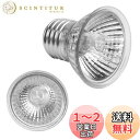 爬虫類 ライト 用 電球 紫外線ライト uvb uva 亀用 両生類用 亀日光浴ライト 50w