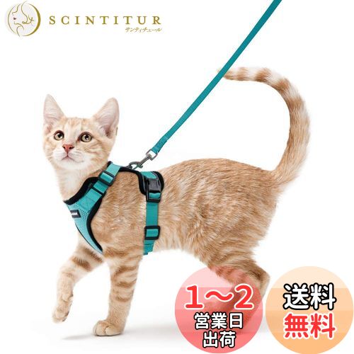 Rabbitgoo 猫用 ハーネス リードセット 犬猫兼用 超小型犬 小型犬 抜けない ソフト胸あて 軽量 足を上げず装着完成 サイズ調節可 夜反射 通気メッシュ 咳込み防止 散歩 犬用ハーネス 猫の胴輪 くびわ ベスト パグ ネコねこ子猫 散歩ひも 猫はーねす胴輪 猫 ハーネス りー