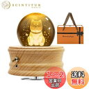 【2024年 正規品】オルゴール プレゼント QUEENBABI 柴犬 オルゴール クリスタルボール 誕生日プレゼント女性 人気 間接照明 クリスタル LEDラ...