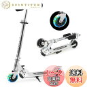 Tenboom キックボード キックスクーター 子供用 LEDタイヤ スタンド付き キッズ スケーター 折り畳み式 持ち運び便利 収納易い 高さ調整可能 男の子...
