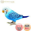 タカラトミー TAKARATOMY 毎日おしゃべり 天才インコちゃん 青 ブルー 対象年齢:6歳 脳トレ ヒーリングパートナー おしゃべり1100通り以上 お歌10曲