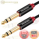 SHULIANCABLE 6.35mm ギター ケーブル, 標準プラグ オス-オス ミキサー ギター アンプ スピーカー等の接続用 (1M)