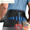 FREETOO 腰ベルト サポート【整復師が考えた】腰 サポーター ダ...(4)