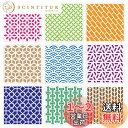 BENECREAT ステンシルシート プラスチック製 和紋様 描画テンプレート 30cm9枚入り 手帳用 絵図 ペイント リサイクル