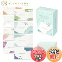 【送料無料】モノライク メッセージカード ミニカード サンキューウォーターカラー Message card Thank you - Watercolor カード 40枚 封筒 20枚 セット ン文具 お祝いのカード 感謝カード