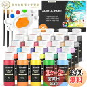 Shuttle Art アクリル絵の具 25色セット アクリル顔料 速乾 防水 耐久 60ml ブラシ3本 パレット付き 鮮やか メタリック 蛍光色 大容量 伸...