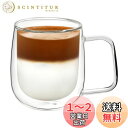 VKCHEF ダブルウォール グラスカップ 300ml 1個 二重構造 耐熱ガラス コーヒーカップ グラス マグコップ おしゃれ ティーカップ 保温 保冷 結露...